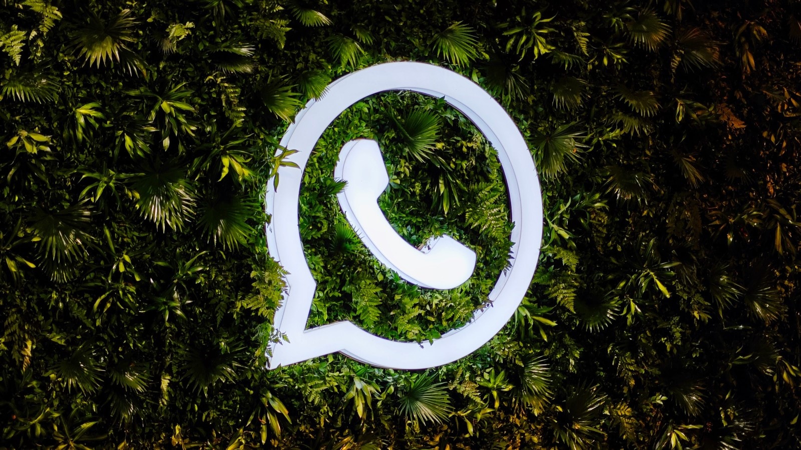 WhatsApp: The ideal digital marketing tool